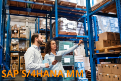 SAP S/4HANA - Materials Management - Overview